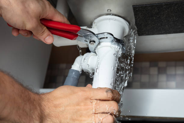 Best Carpet water damage restoration  in Driggs, ID
