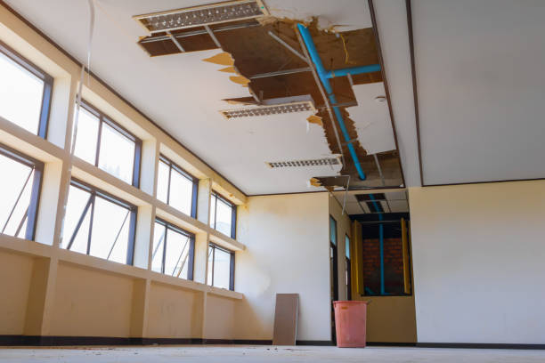 Best Water damage restoration near me  in Driggs, ID