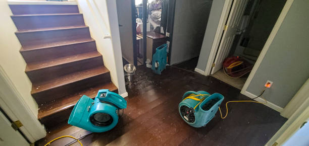 Best Professional water damage repair  in Driggs, ID
