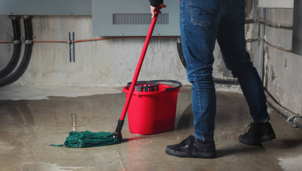  Driggs, ID Water damage restoration Pros