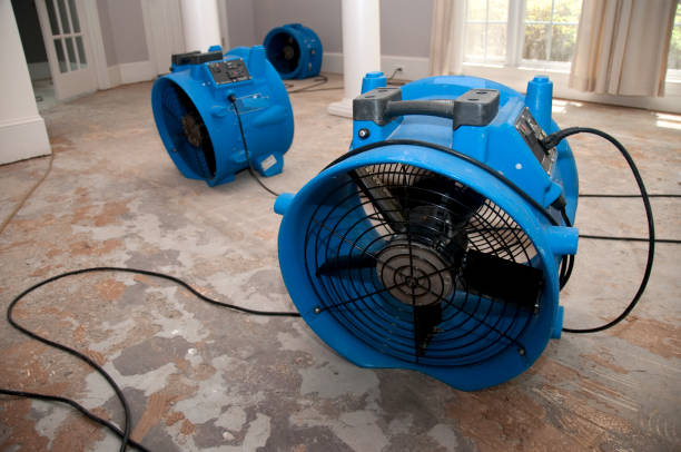 Local water damage restoration in ID