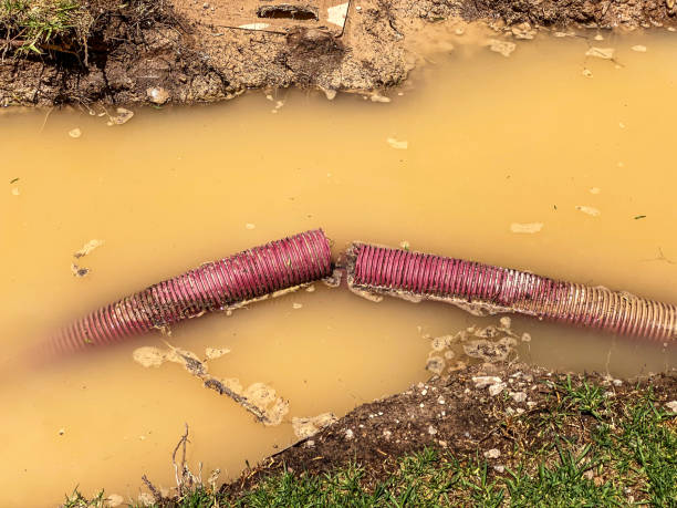 Best Emergency water extraction  in Driggs, ID