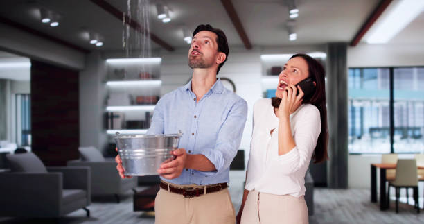 Best Flooded house restoration  in Driggs, ID